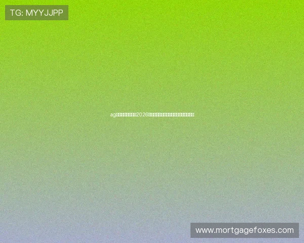 ag视讯厅官方官网：2026世界杯球员表现分析与明星球员亮点盘点